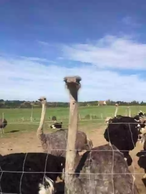 Lycée d'Enseignement Agricole Privé Terre Nouvelle