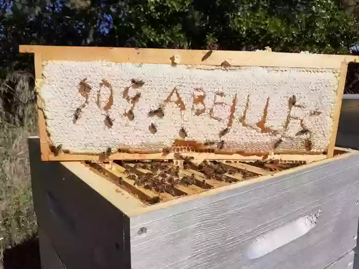 Rucher école sos abeilles