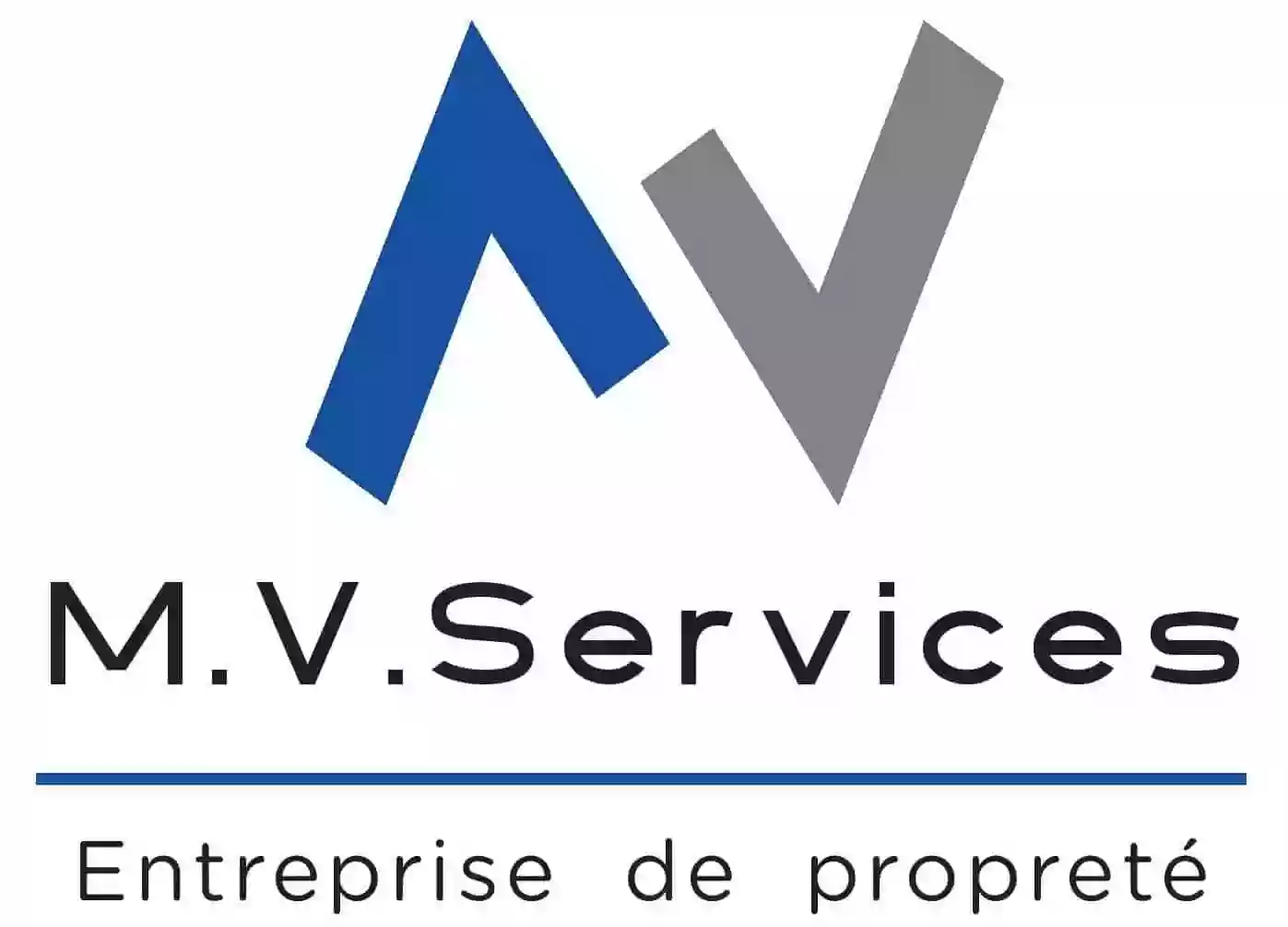 Metier Valeurs Services