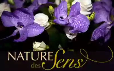 Nature des Sens