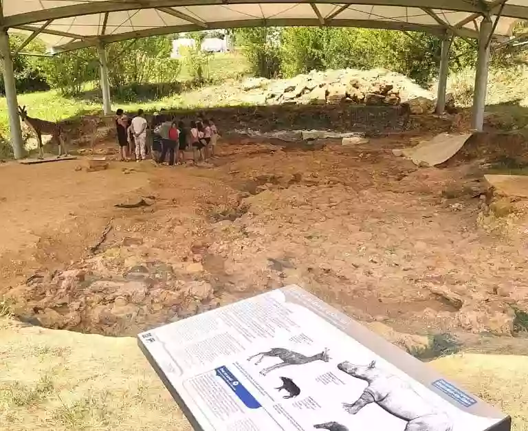 Visite Guidée du Site paléontologique de Béon