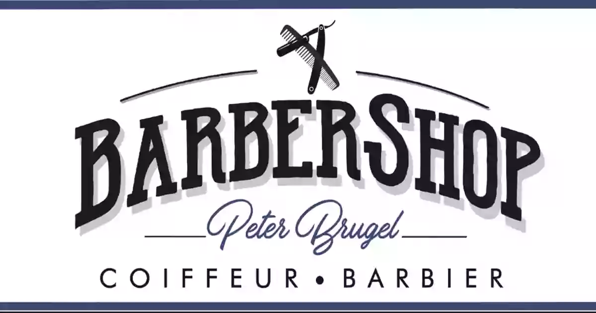 Peter Brugel Coiffeur Babier