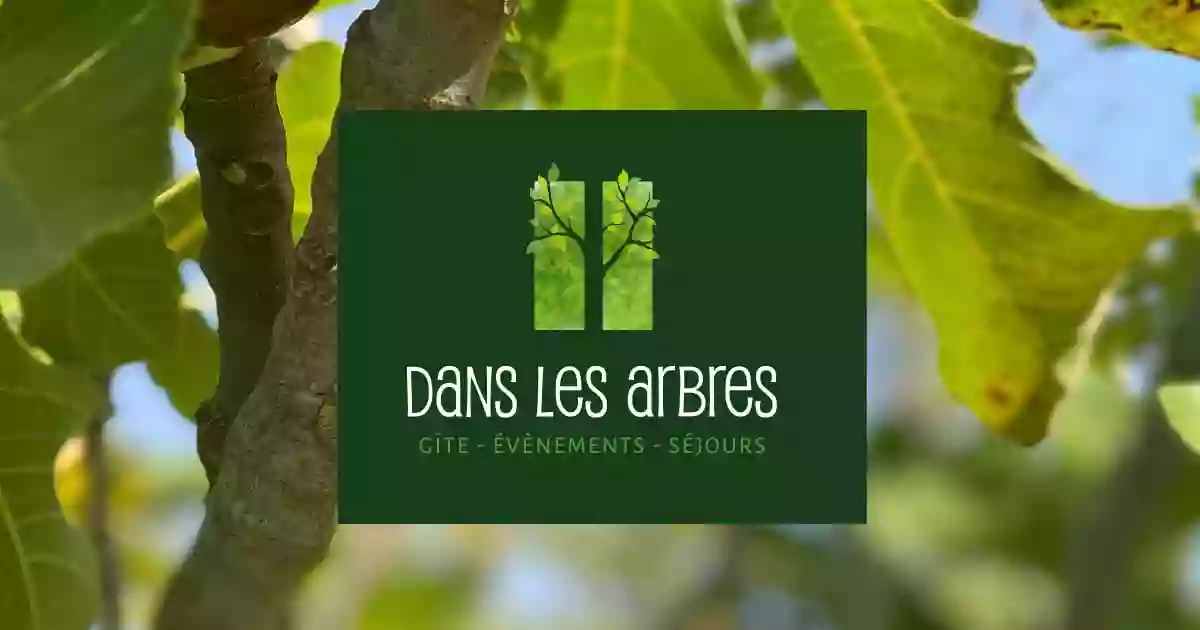 Dans les Arbres