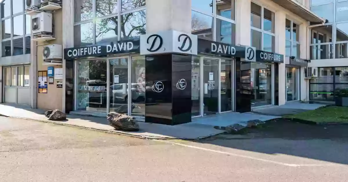 David D Coiffure