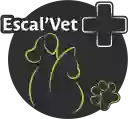 Clinique vétérinaire Escal'Vet