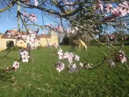 Ferme Equestre A CANDAOU