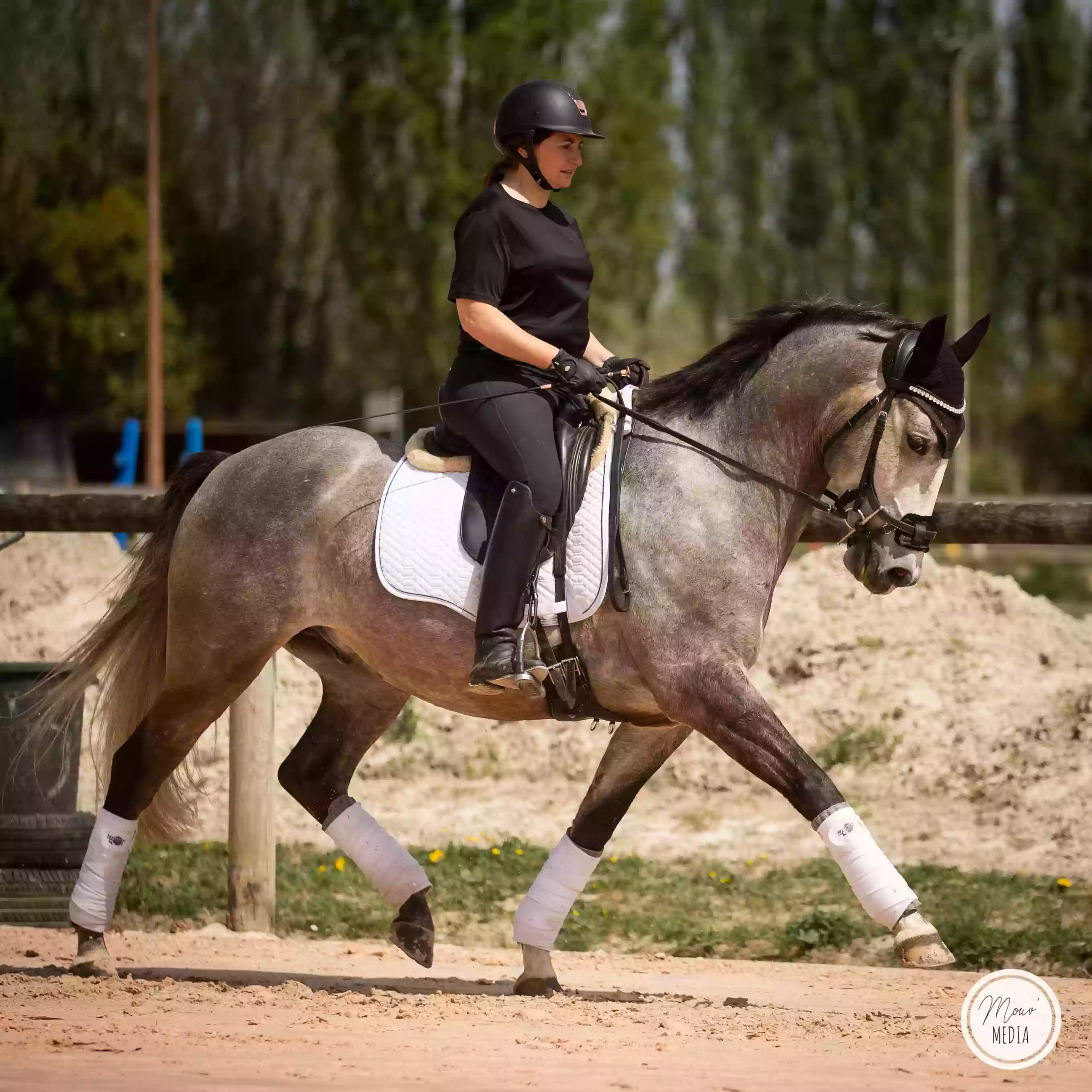 Club Hippique du Garrel