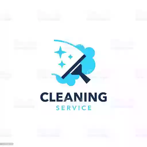 CLEAN SOLUTIONS NETTOYAGE