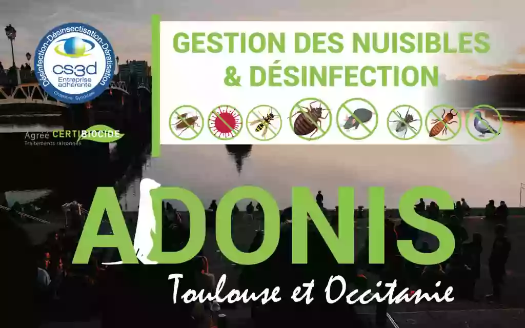 Adonis Toulouse & Occitanie