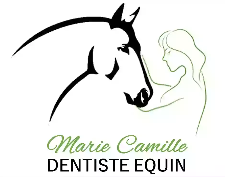 Marie Camille Technicien Dentaire Équin