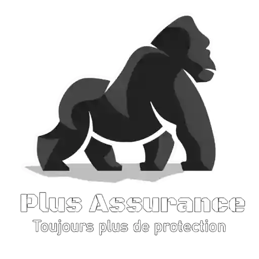 + Assurances Perpignan assurance en ligne courtier en assurance