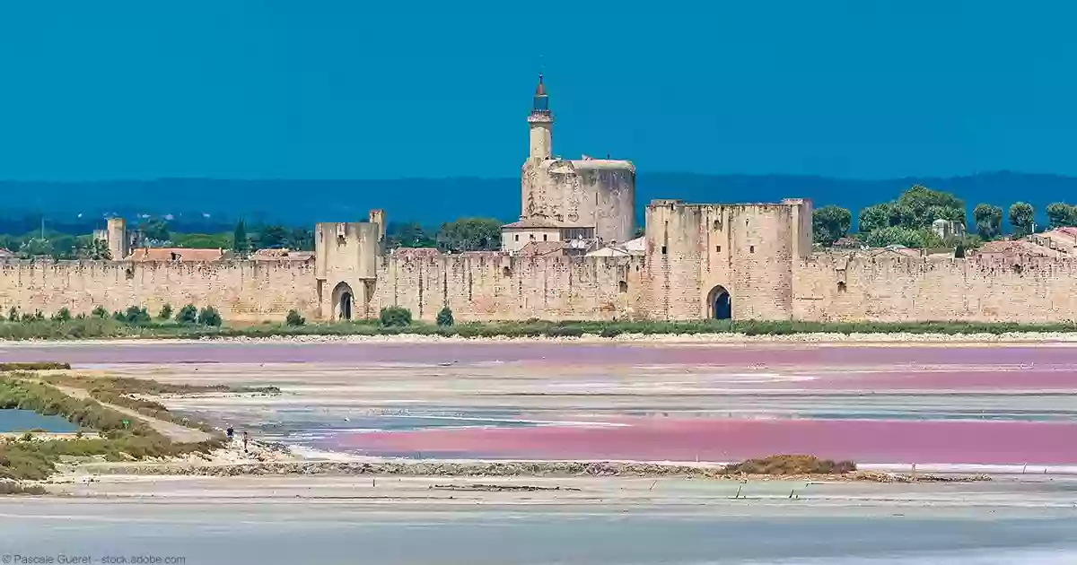 Maison d'Hôtes - Le Petit Gite Bio du Rhôny en petite Camargue