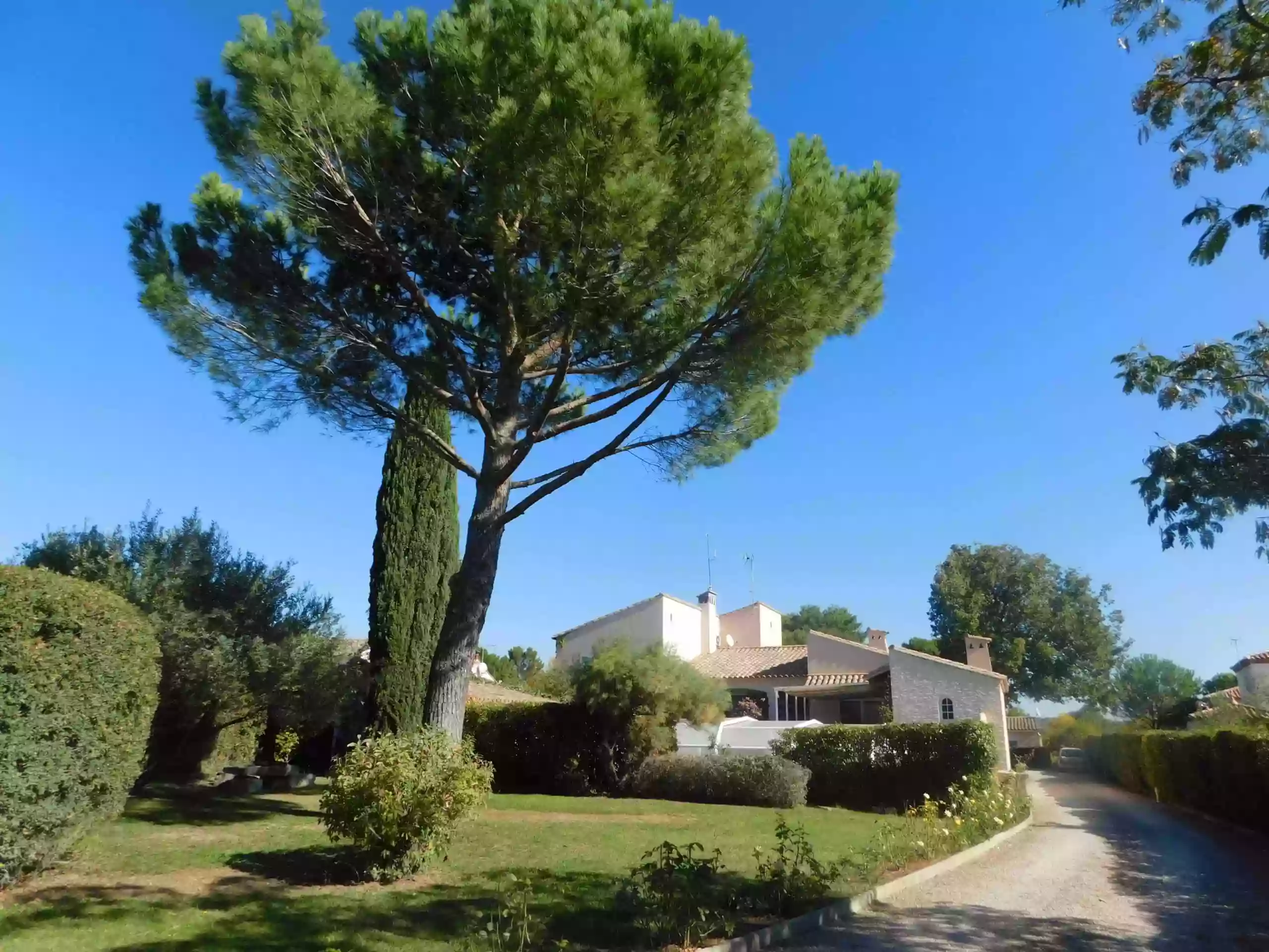 Les Bougainvillées de Camargue