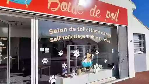 Boule De Poil Salon De Toilettage Canin