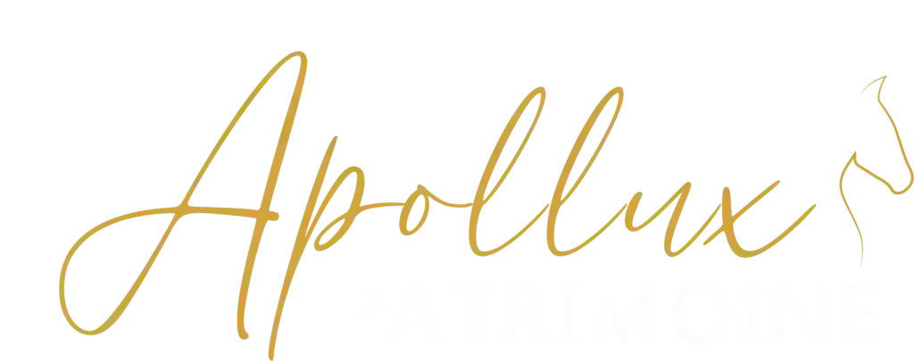 Apollux Patrimoine - Conseil en Gestion de Patrimoine - Nantes