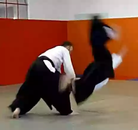 Saumur Aikido section CDSF