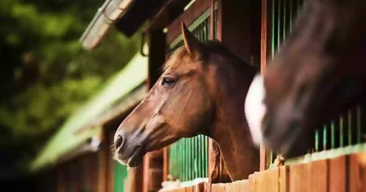 Le Ranch de Cacharel