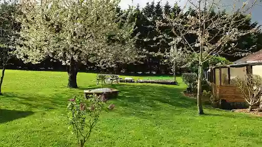 BON DEBARRAS - débarras maison et déchets, entretien de jardin