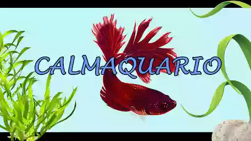 Calmaquario