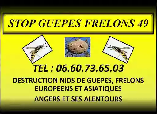 STOP GUEPES FRELONS 49