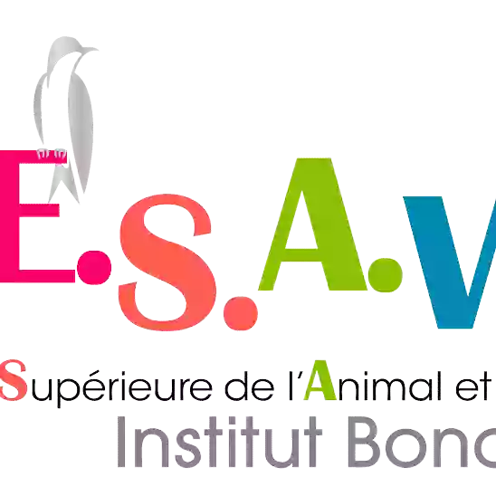 ESAV - Institut Bonaparte - Campus Nantes