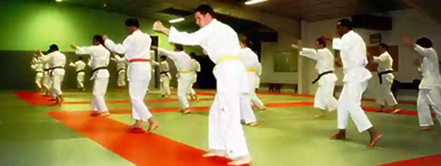 CSKN - Cercle de Shorinji Kempo de Nantes