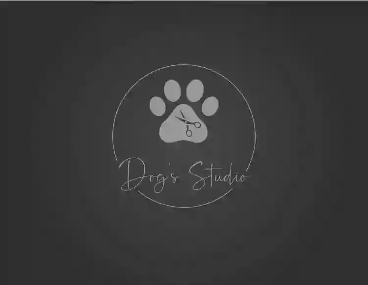 Dog's Studio