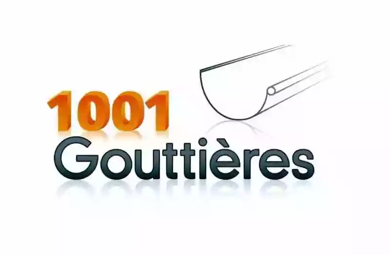 1001 GOUTTIERES