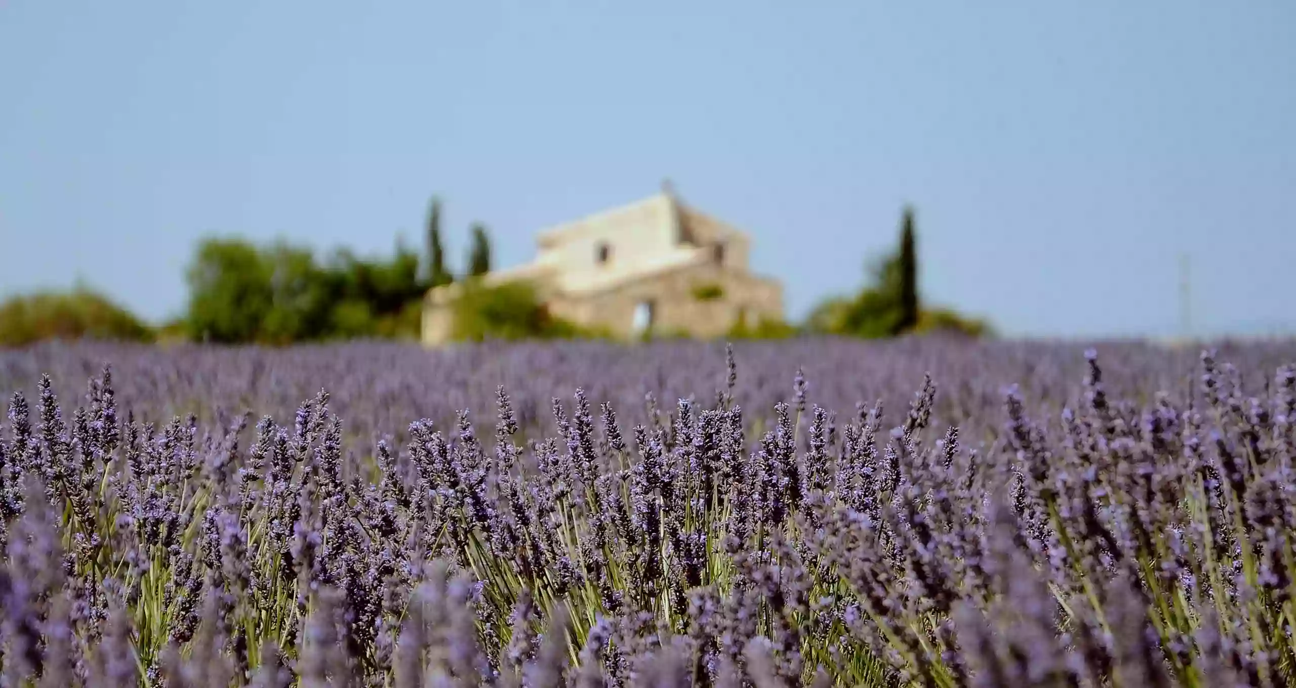 Conciergerie Laurie Gestion En Provence