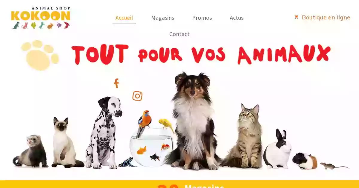 Kokoon Animal Shop Auriol