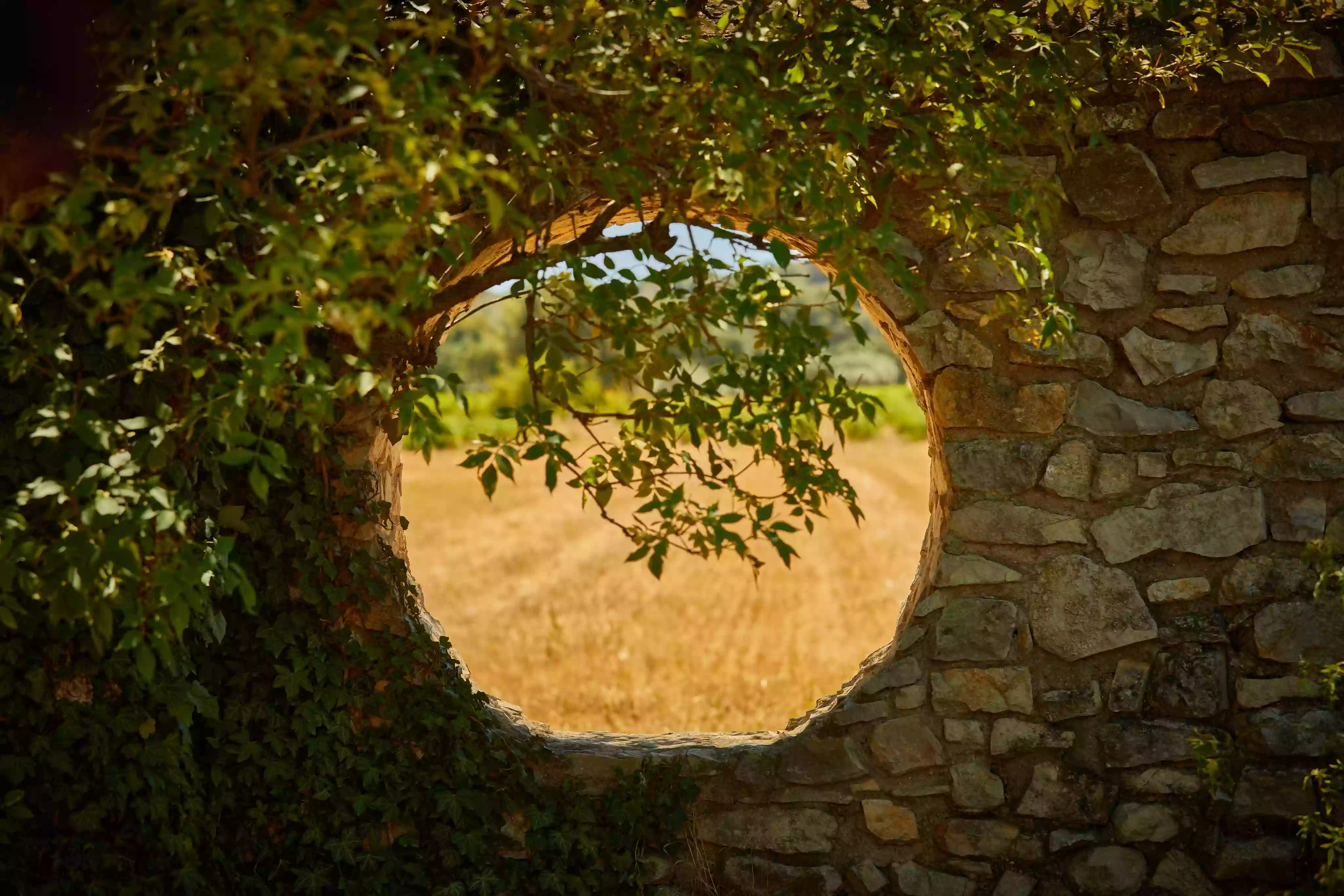 LE MAZET - Chambre d'hôtes