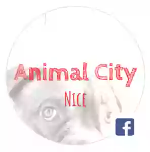 Animal City & Co