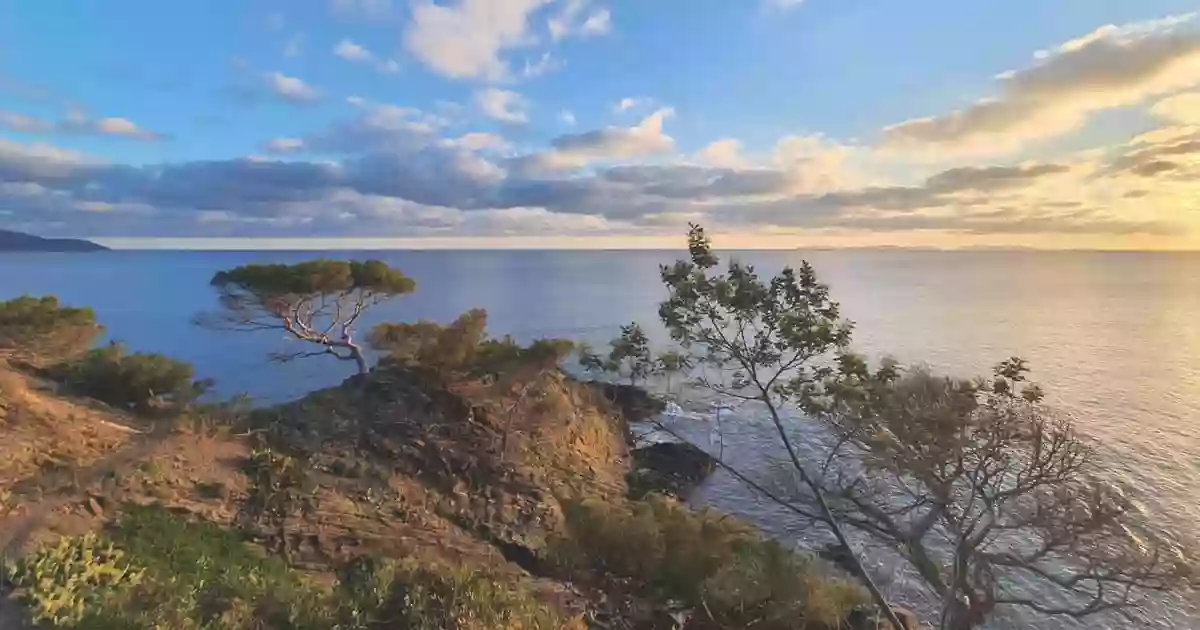 Hôtel Cap Soleil - Cavalaire-sur-Mer