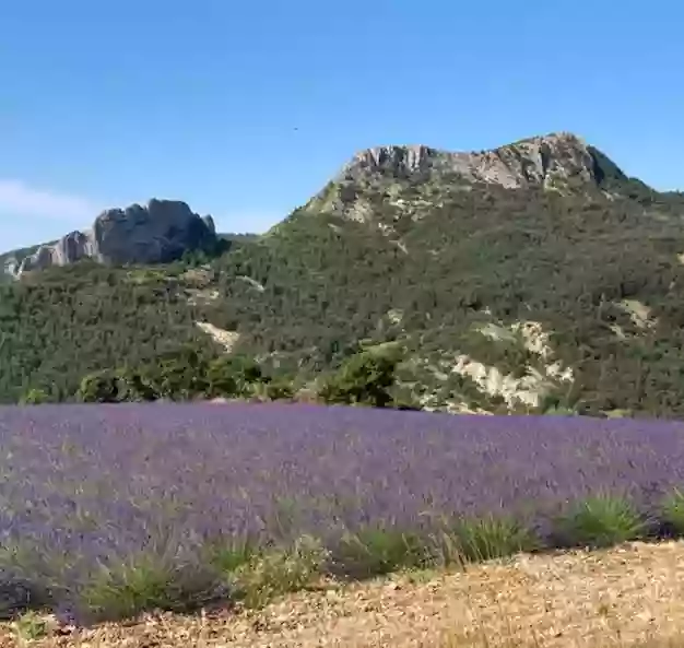 Essentiel Barret chambres d'hôte et gîte