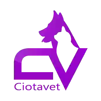 Ciotavet