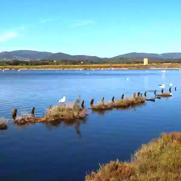 Les Vieux Salins d'Hyères