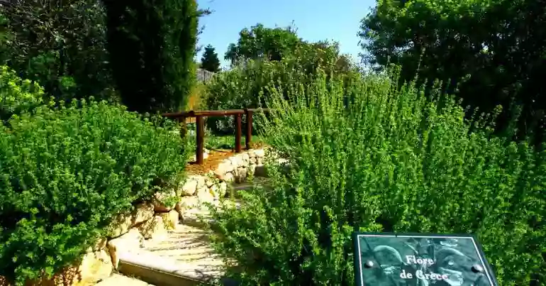 Jardin botanique de Nice