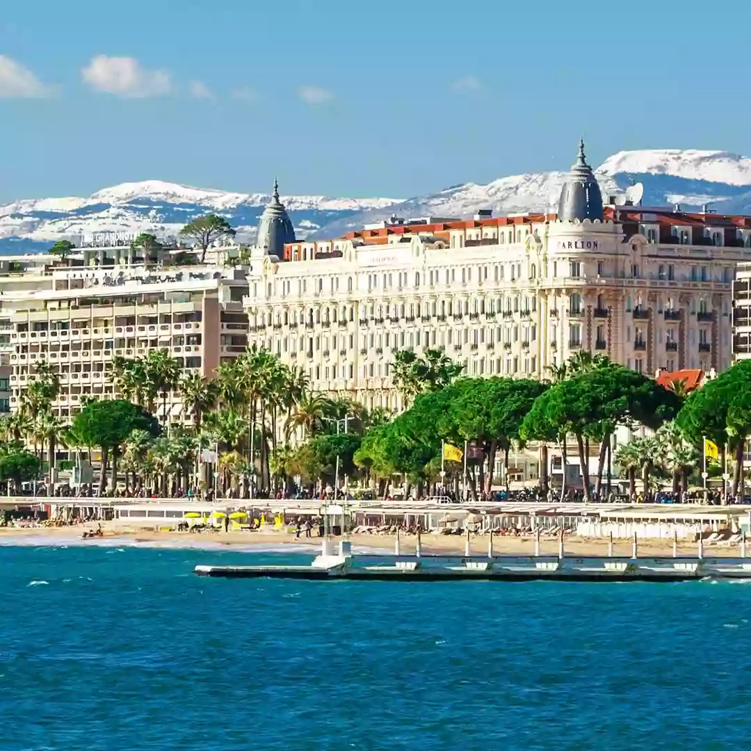 Olifan Group, Gestion de Patrimoine à Cannes