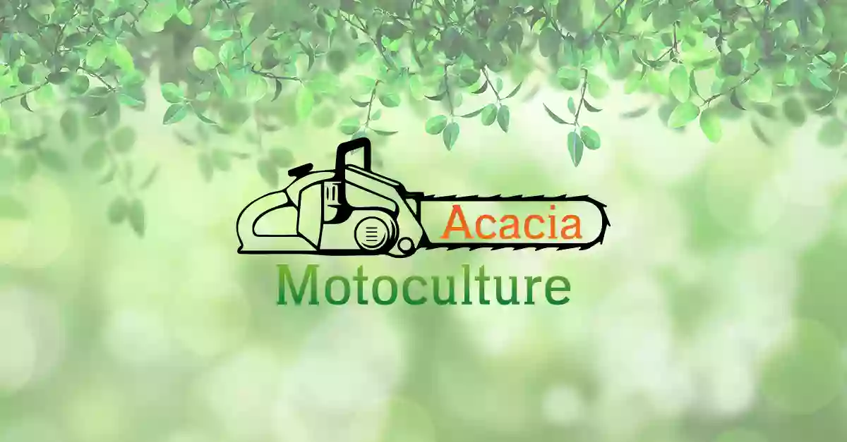 Acacia motoculture