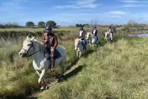 Promenade à cheval Layalle