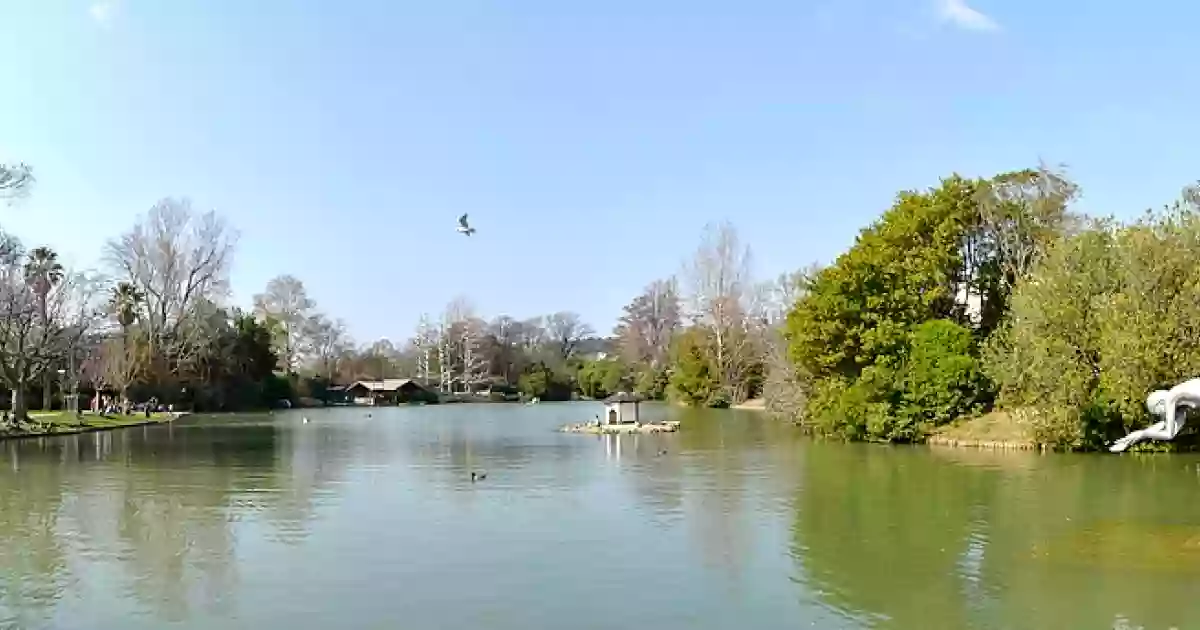 Parc de la Maison Blanche