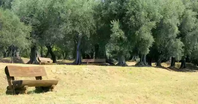 Parc Honoré d'Estienne d'Orves