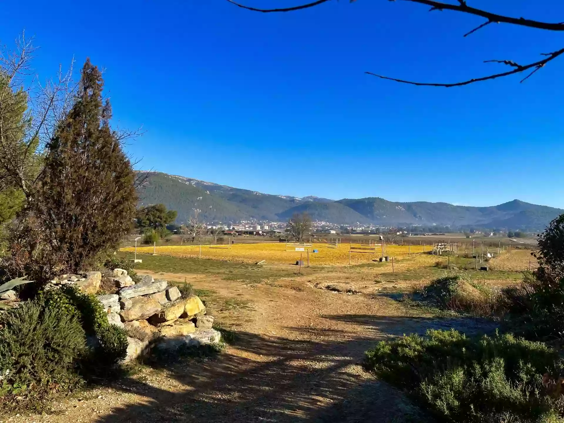 Ecuries de Fontmagne - Centre Equestre