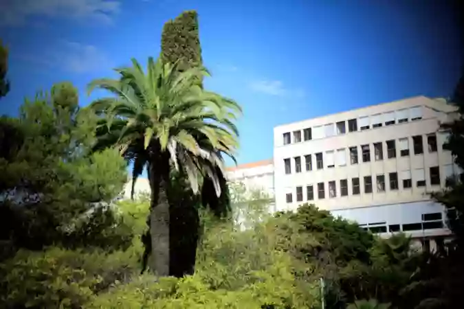 Université Côte d'Azur (Faculté de droit et science politique) - Campus Trotabas