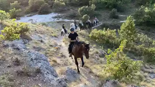 CENTRE EQUESTRE LES CRINS DE GAIA