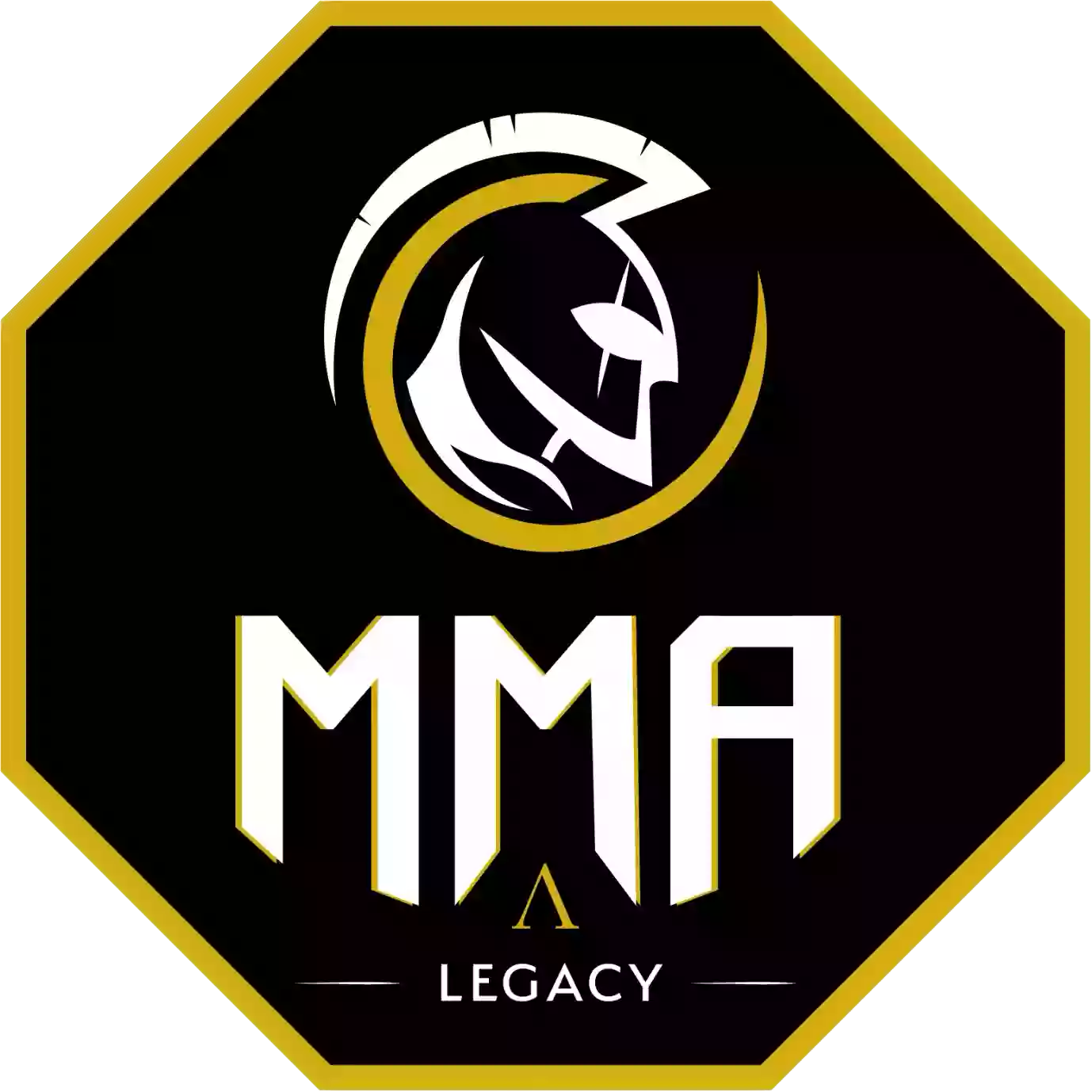 M.M.A Legacy (M.M.A / Striking / Grappling /Boxing / Self-Défense /Cardio Training)