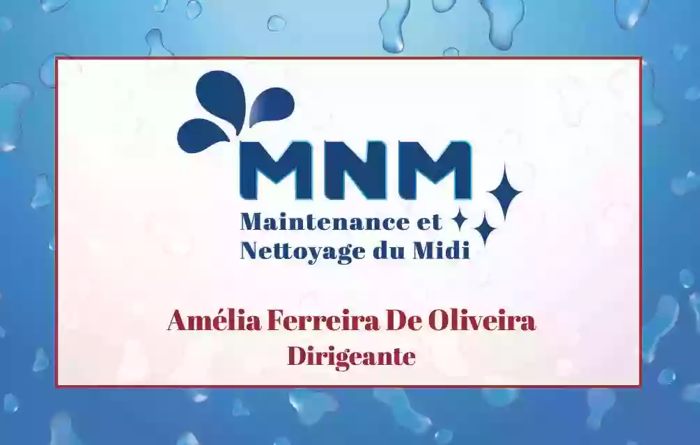 Maintenance et Nettoyage du Midi