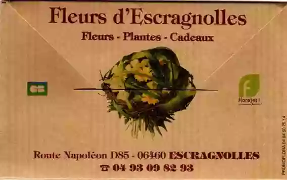 Fleurs d'Escragnolles