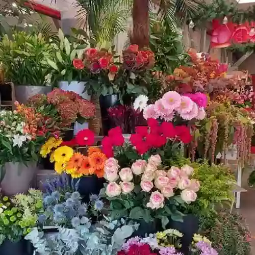 Fleuriste Florival