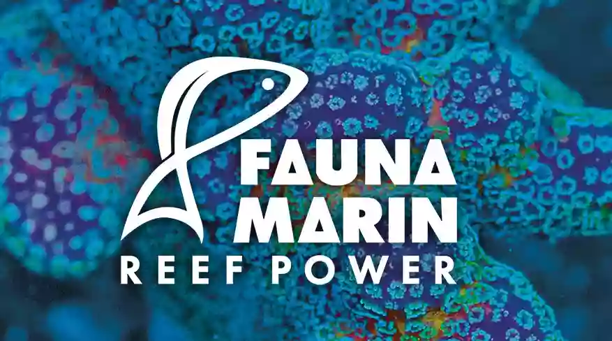 Fauna Marin GmbH - Fauna Marin Corals